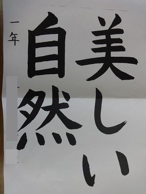 DSC01319