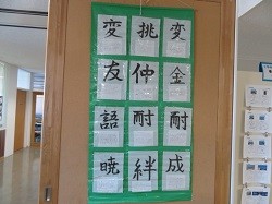 IMG_5655