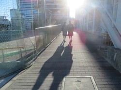 IMG_6089
