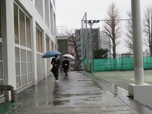 IMG_6388