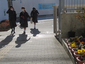 IMG_7230