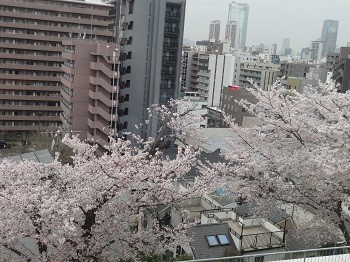 DSC01905