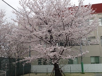 DSC01909