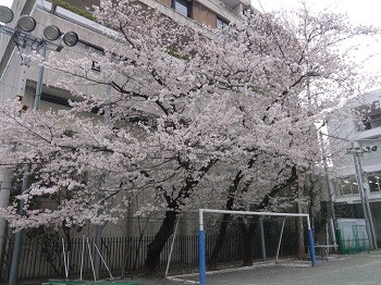DSC01913