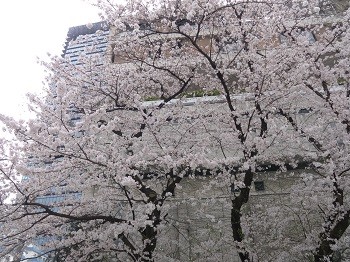 DSC01914