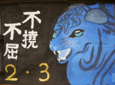 23