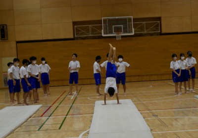 2-12体育1
