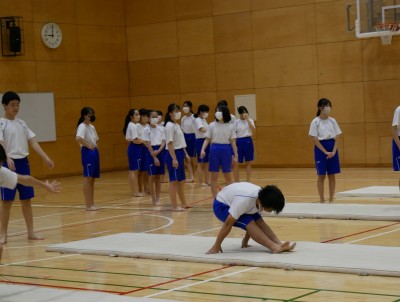2-12体育4