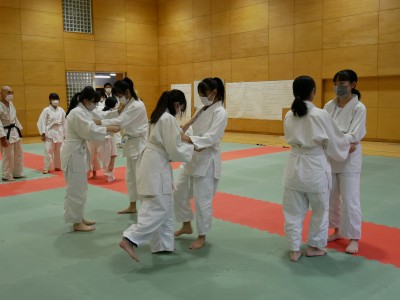 3-3体育3