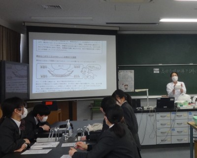 DSC04875 (2)