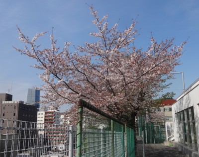DSC05126
