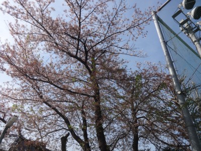 DSC05116