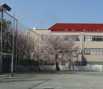 DSC05115