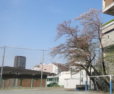 DSC05113