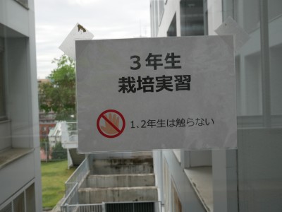 P1150525