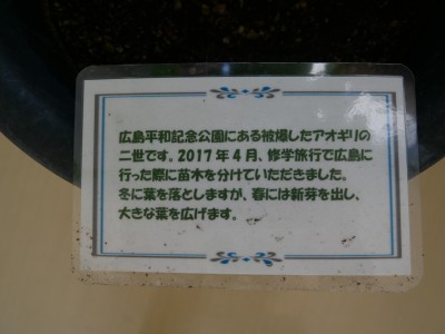 P1150653