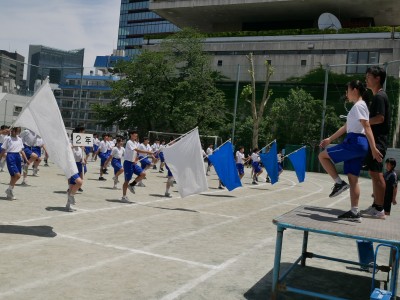 P1160737