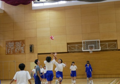3-1体育3