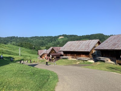 IMG_0460