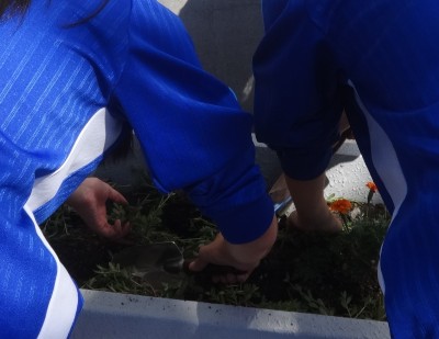 DSC06014