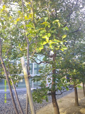 DSCF0208