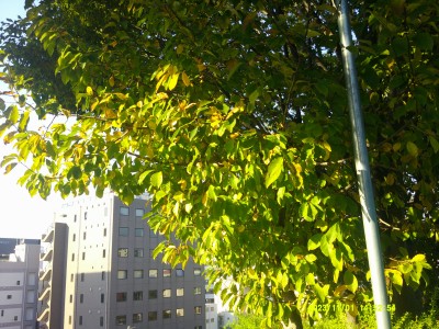 DSCF0211