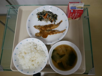 給食240430