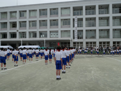 P1123263