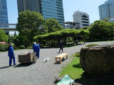 P1123956