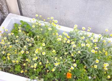 DSCF0029