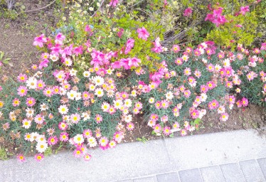 DSCF0035