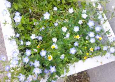 DSCF0028