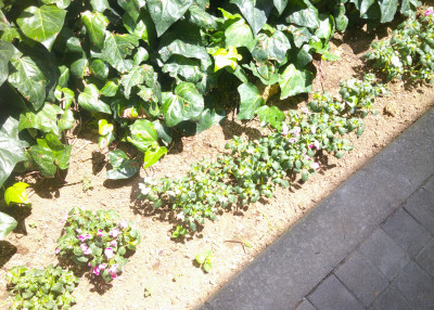 DSCF0213