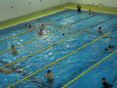 3-13体育3
