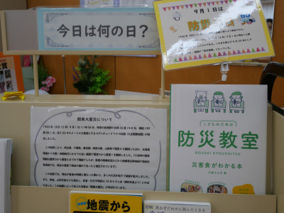 P1134785