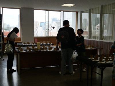 P1136562