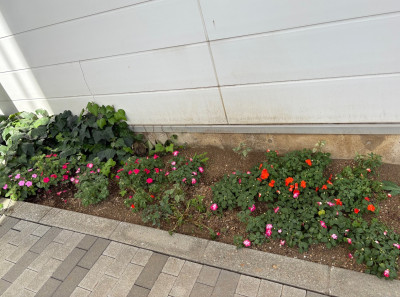 thumbnail_image3 (1)