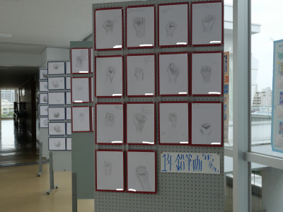 P1146964