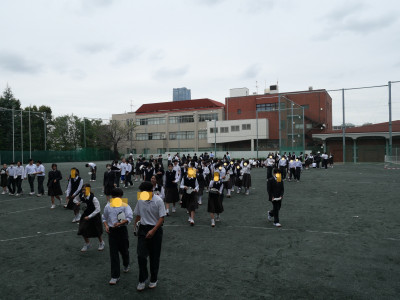 P1158393