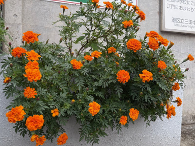 thumbnail_image2 (4)