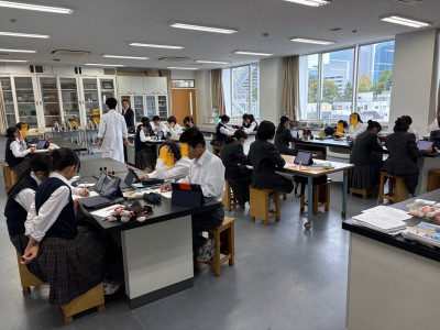 thumbnail_image0 (6)