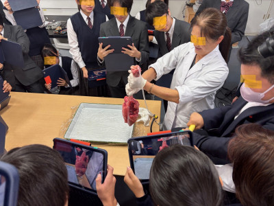 thumbnail_image0 (4)