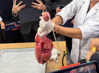 thumbnail_image1 (5)