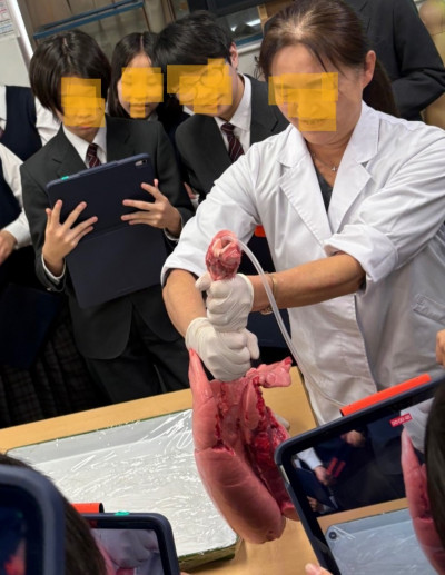 thumbnail_image2 (1)