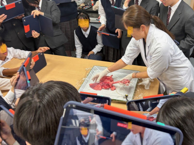 thumbnail_image4 (3)