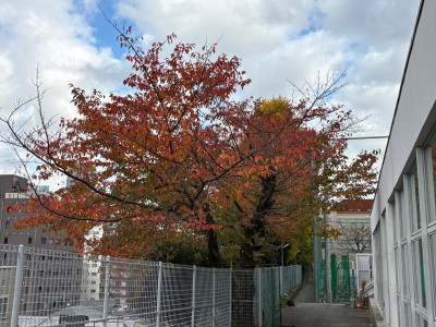 thumbnail_image2 (3)