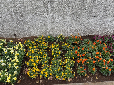 thumbnail_image1 (5)