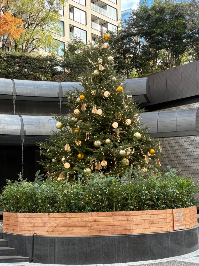 thumbnail_image3 (1)