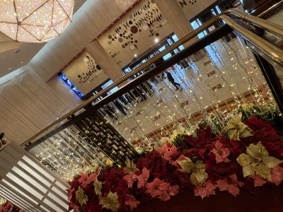 thumbnail_image0 (2)