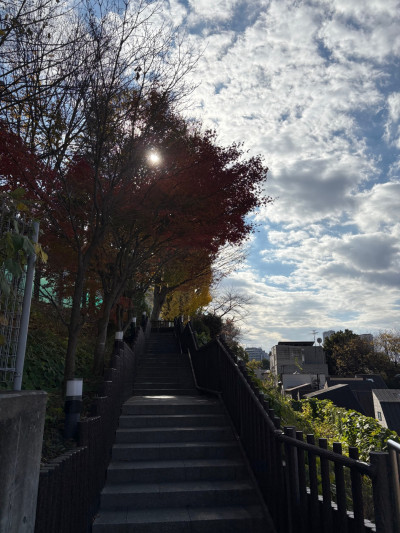 thumbnail_image0 (4)